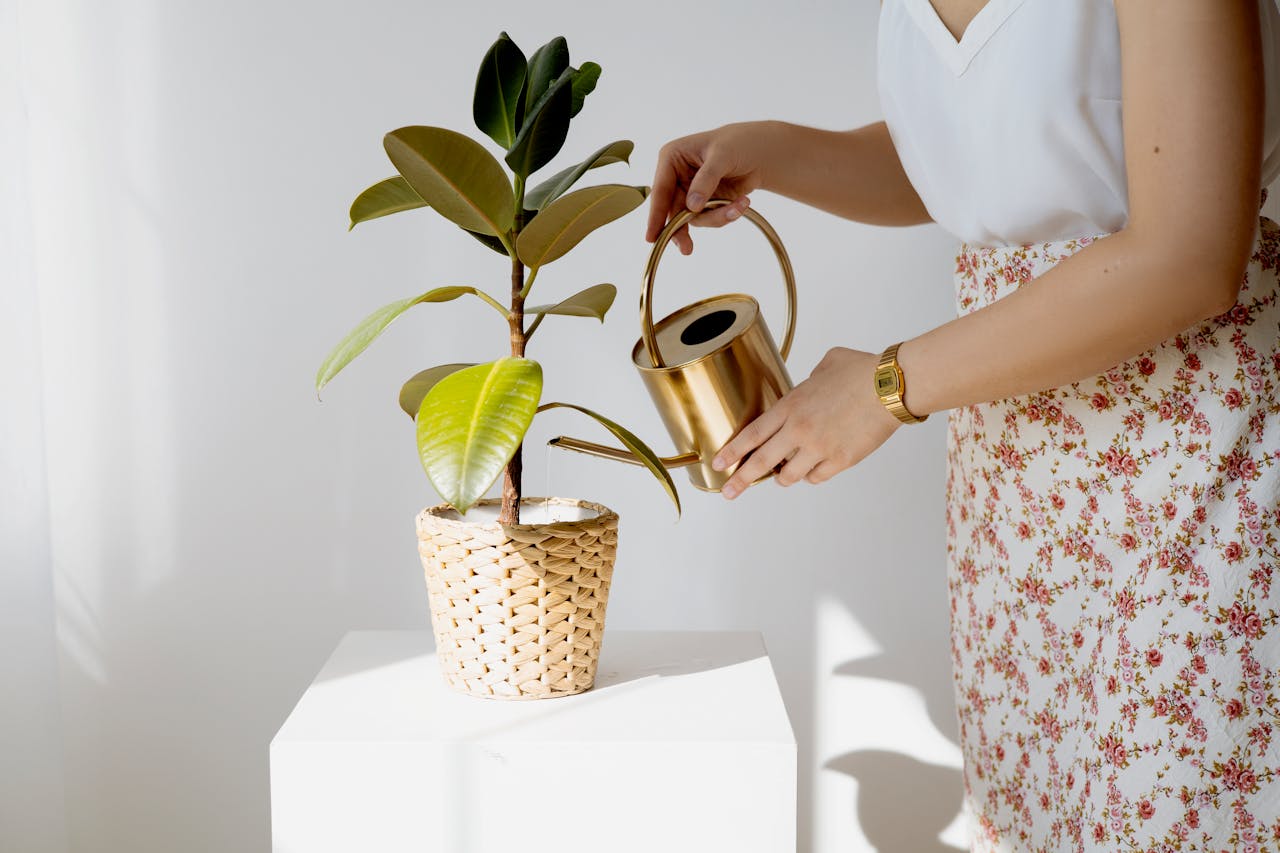 How to Use Social Media to Grow Your Business
